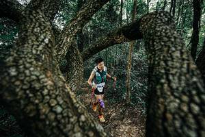 BIB: 
                            <button type="button" onclick="openModal(25392127)" class="btn btn-primary btn-sm float-right btn-popup" data-toggle="modal" data-target=".modal-high-quality">
                        <i class="fas fa-shopping-cart"></i> Add to Cart
                    </button>
                                            <button type="button" onclick="isThisMe(25392127, true)" class="btn btn-success btn-sm float-right btn-popup btn-isme hidden" data-toggle="tooltip" data-placement="bottom" title="นี่คือรูปของคุณใช่ไหม คลิกที่นี่เพื่อเอาเข้าอัลบั้ม">
                        <i class="fas fa-plus"></i> Add to album
                    </button>
                    <button type="button" onclick="isThisMe(25392127, false)" class="btn btn-warning btn-sm float-right btn-popup btn-isnotme hidden">
                        <i class="fas fa-ban"></i> Remove from album
                    </button>